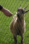 203_0376 203_0376